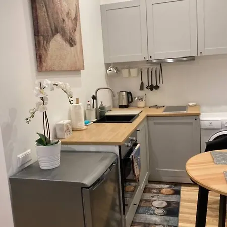 Modern Studio Near Theater! Apartman Riga